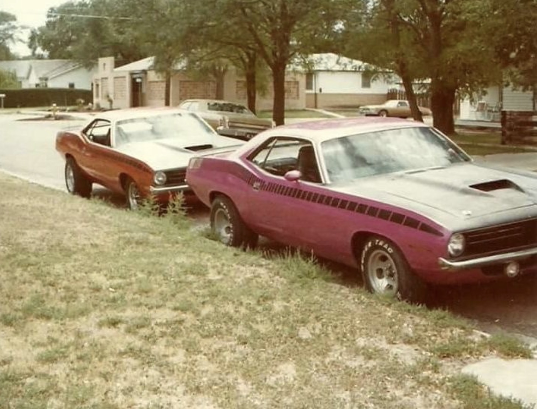 Plymouth Barracudas 